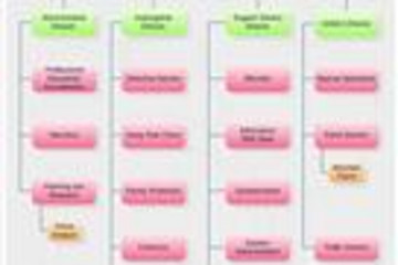 Edraw Organizational Chart预览：